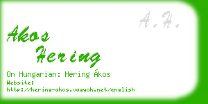 akos hering business card
